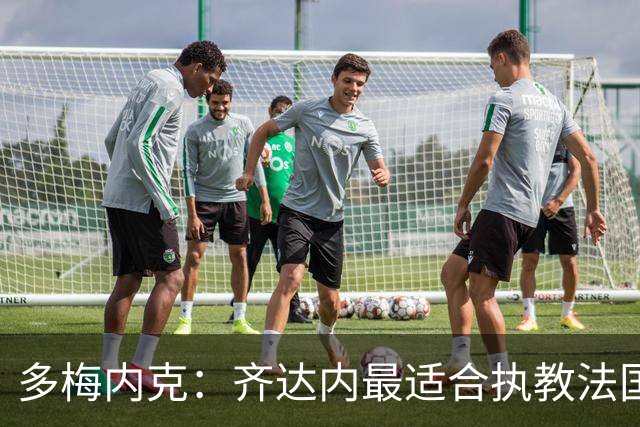 多梅内克：齐达内最适合执教法国，他需先和领袖球员取得联系